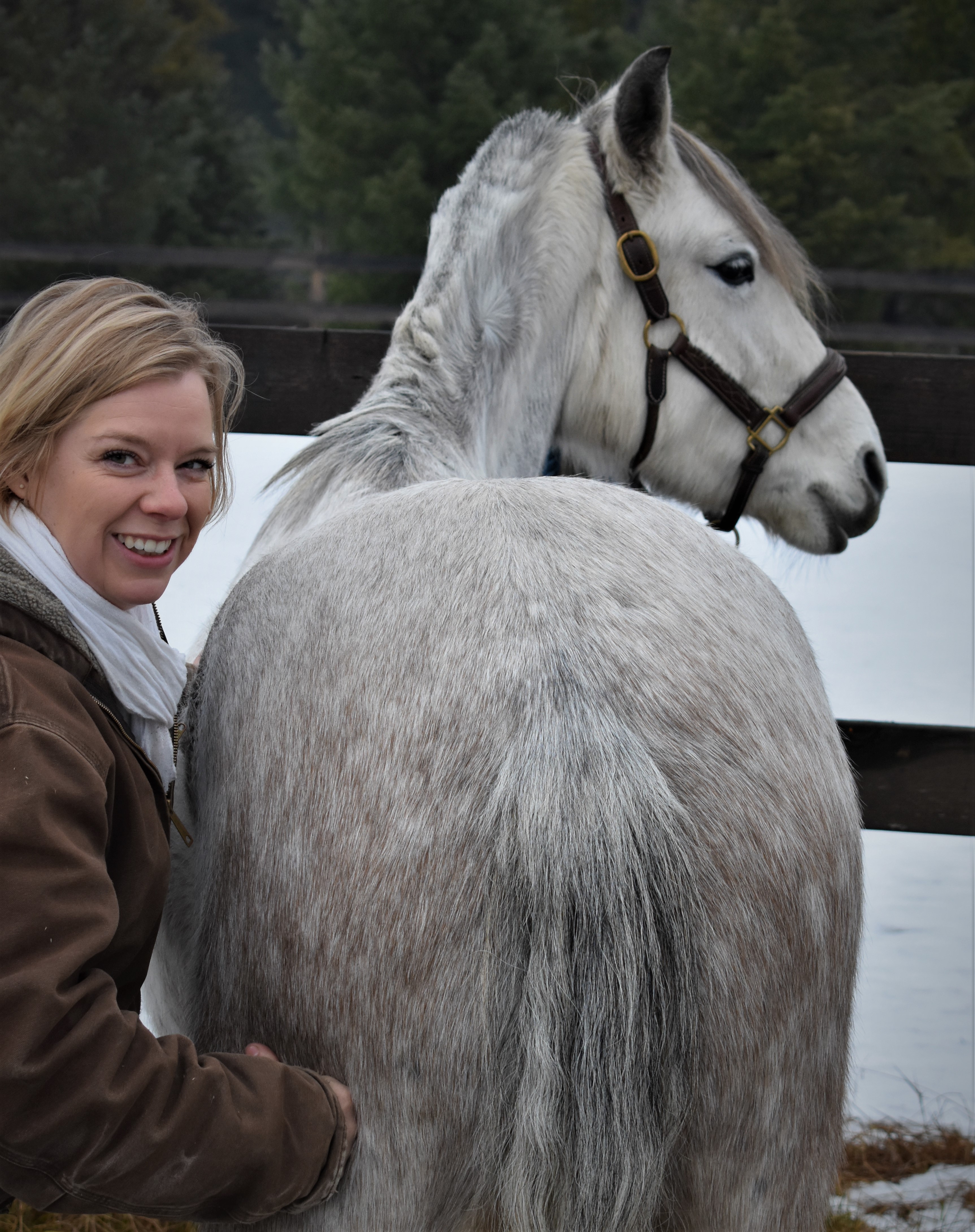 Performing equine structural integration