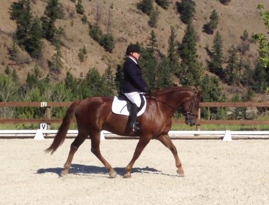 Katie riding Chevy dressage