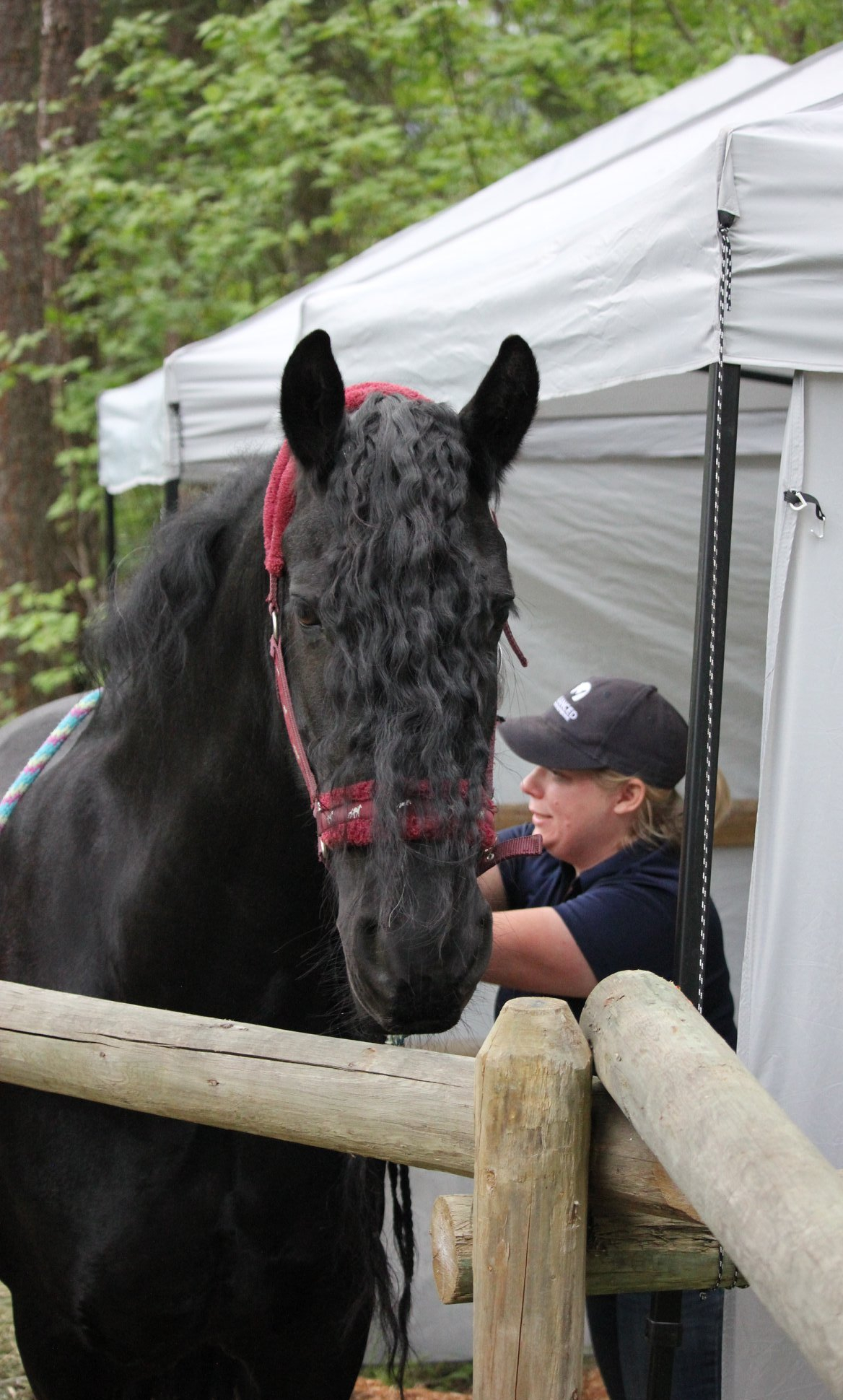 60868890_143025916821613_1515743578515570688_o